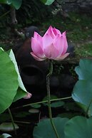 Gunung Paradis Retreat