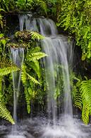 Gunung Paradis Retreat