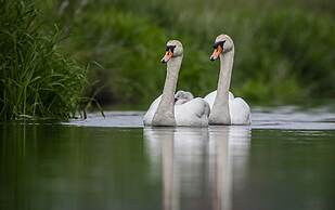 Carrick's At Castle Farm