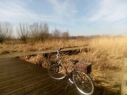 B&B De Stuifduinen