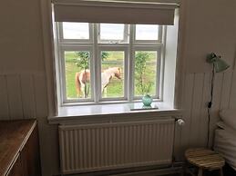 Gamla húsið - The old house