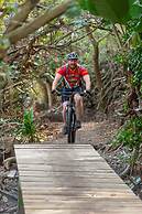 San Lameer Villa Rentals  2843