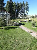 Behind the Bike sheds