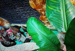 Win's Homestay - Hostel