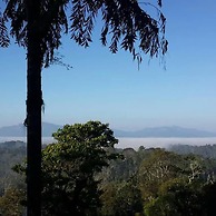 Forestdale Coorg