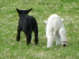 Monravon Guest House