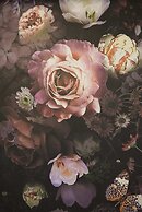 Nove Boutique Apartments