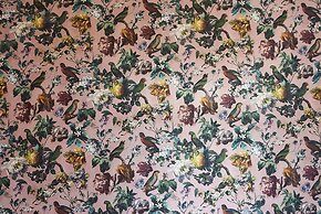 Nove Boutique Apartments