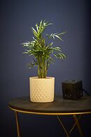 Nove Boutique Apartments