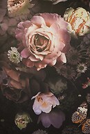 Nove Boutique Apartments