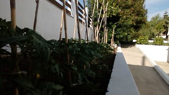 Villa Karina - Near Achladies Beach