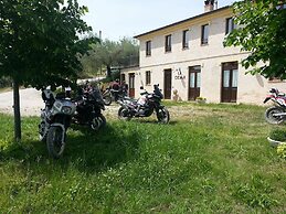 La Cicala