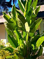 Retreat at Crystal Manatee