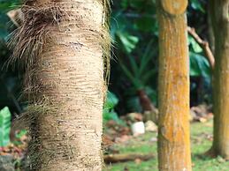 Ishigakijima Cottage Kachibai