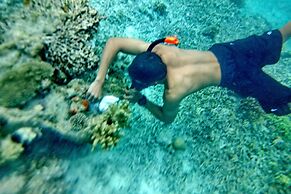 Raja Ampat Dive Lodge