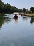 Les Acacias