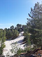 Les Acacias