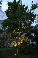 Casablanca Apartments