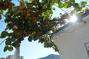 Casablanca Apartments