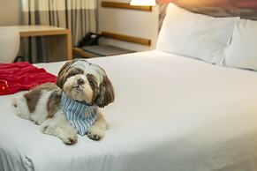 ibis Sao Paulo Tatuape