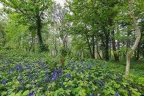 The Artist's Cottage near St. Ives