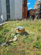 The Dixon, Autograph Collection