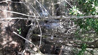 Baan Hotelier Resort