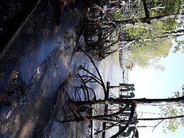 Baan Hotelier Resort