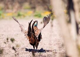 Tackork Gård & Marina Oy
