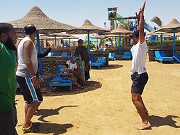 Bella Rose Nefertiti