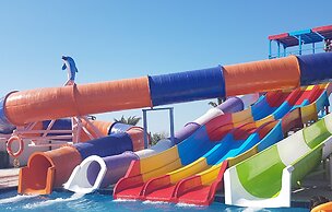 Bella Rose Nefertiti