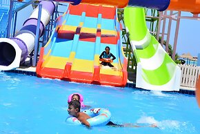 Bella Rose Nefertiti