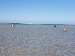 Bella Rose Nefertiti