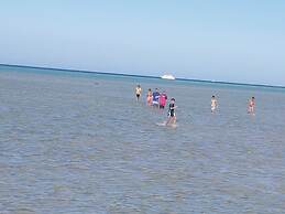 Bella Rose Nefertiti