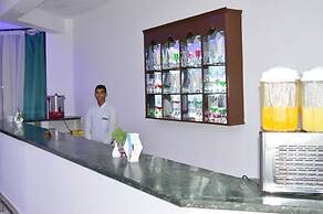 Bella Rose Nefertiti