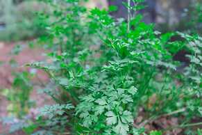 Pousada Golf Village