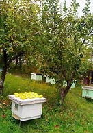 Farmer's Guest House