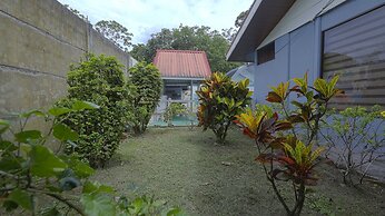 Aparatamentos Arenal Ranas y Ranitas