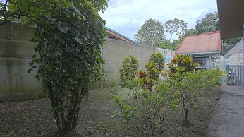 Aparatamentos Arenal Ranas y Ranitas