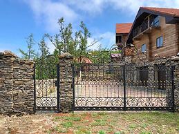 Villa Baikal Prestige