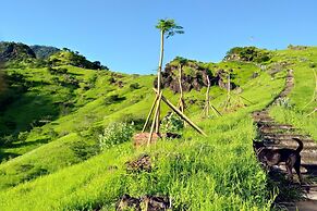 Van Santri Homestay Pemuteran