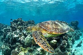 Villa Beach Palm Cove