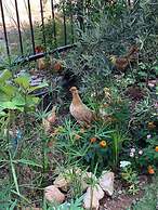 Adrasan La Casita Boutique Hotel