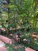 Adrasan La Casita Boutique Hotel