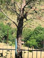 Adrasan La Casita Boutique Hotel