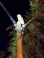 Adrasan La Casita Boutique Hotel