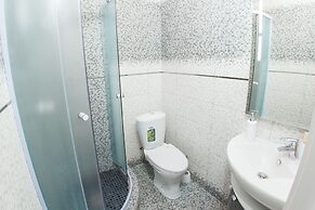 VIP apartment on Tulpanova Street