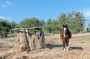 Agriturismo Vocabolo Poggio del Pero