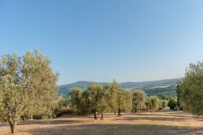 Agriturismo Vocabolo Poggio del Pero