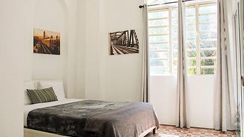 Gladiolas 1205